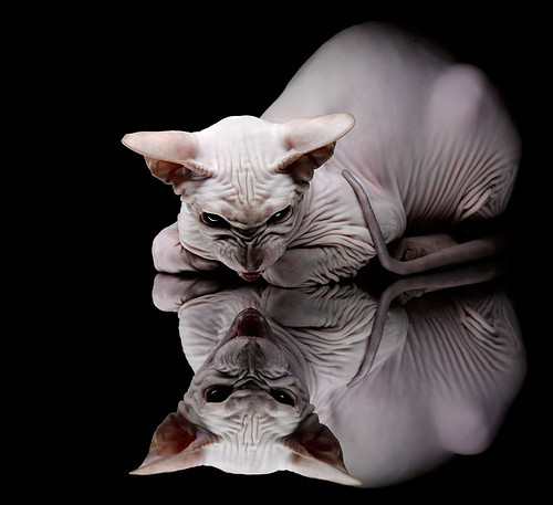 下载开云-_青少年运动科技创新大赛：未来运动的源动力_，广西青少年科技运动会的内容