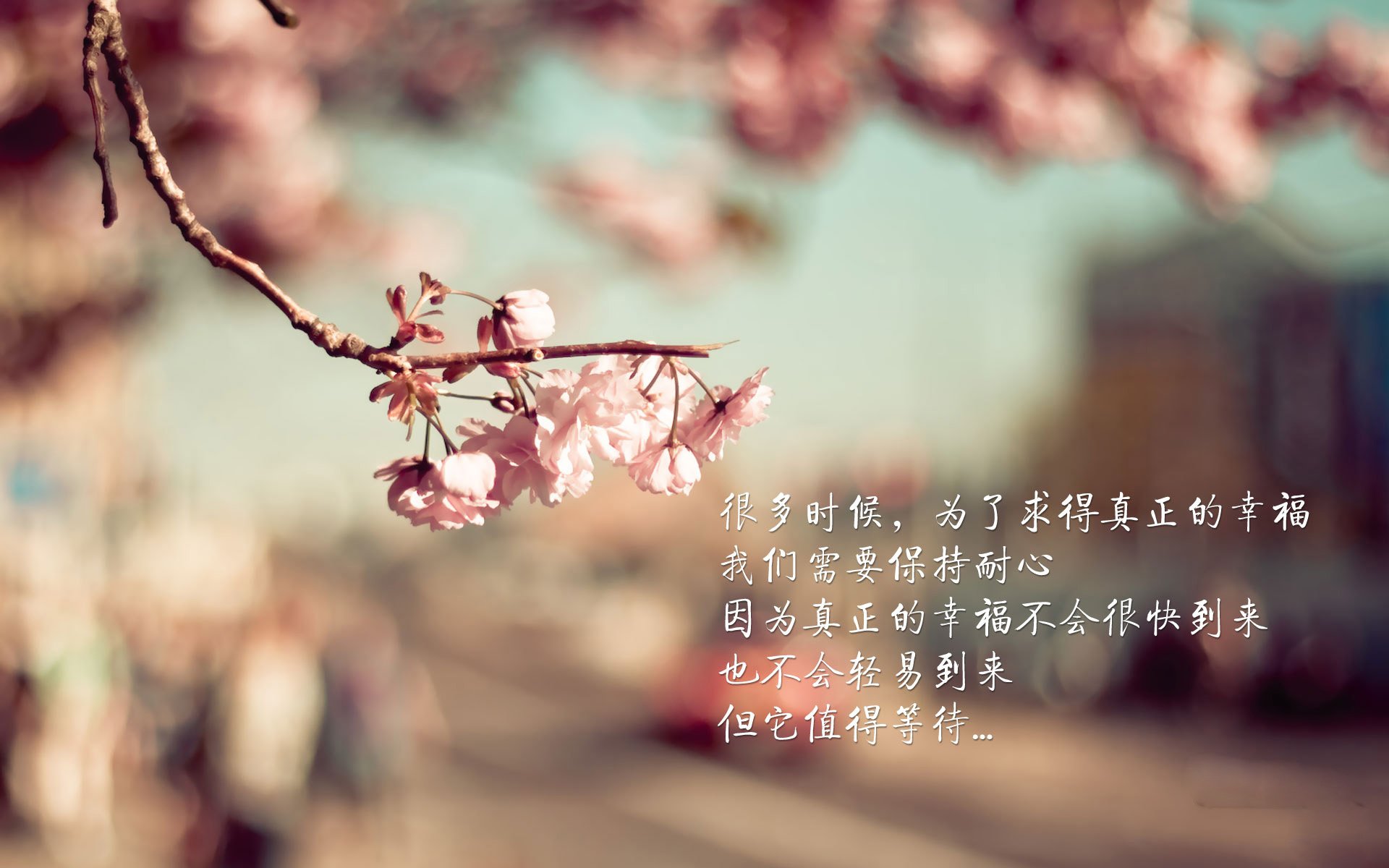 开云体育APP下载-“意甲赛场火热：新锐球员闪耀，豪门动荡依旧”，意甲新赛季最新主教练名单