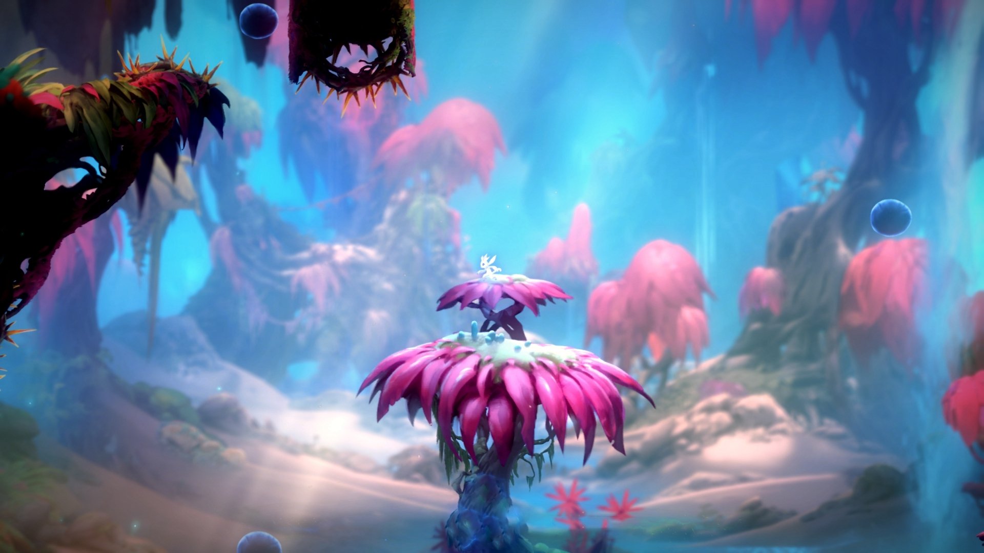 “未来之星：全国青少年足球明星比赛火爆举行”，2021足球未来之星