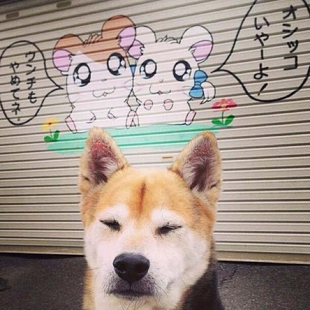 kaiyun-《Faker：超级老将的坚持与荣耀，开启新赛季新征程》，faker大师