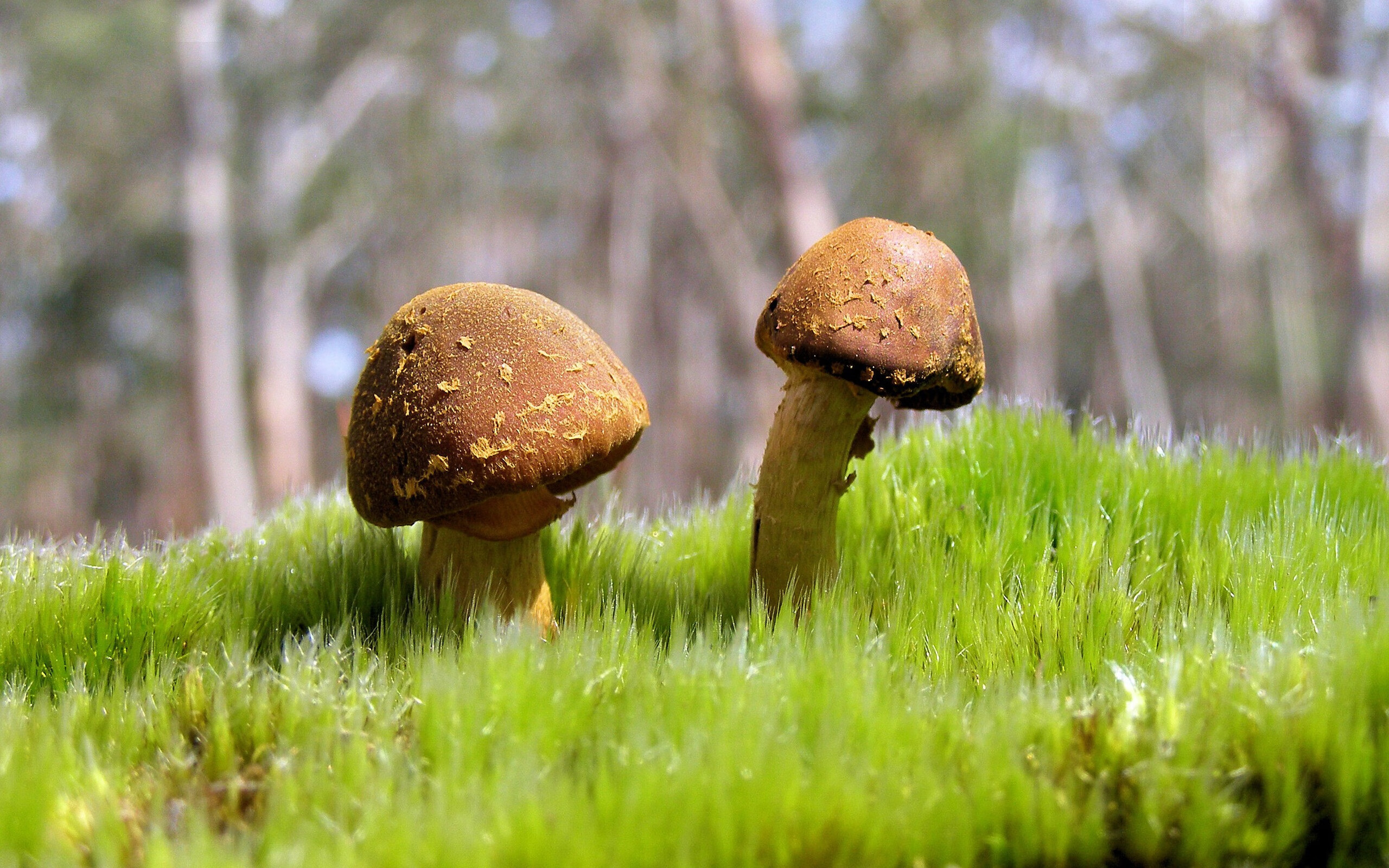 《电竞站台：品牌广告如何引爆粉丝热情》，电竞品牌推广