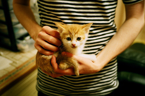 中国足球企业赞助扩大,商业合作不断深化,中国足球队赞助品牌