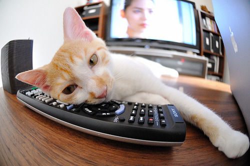 中国足球企业赞助扩大,商业合作不断深化,中国足球队赞助品牌