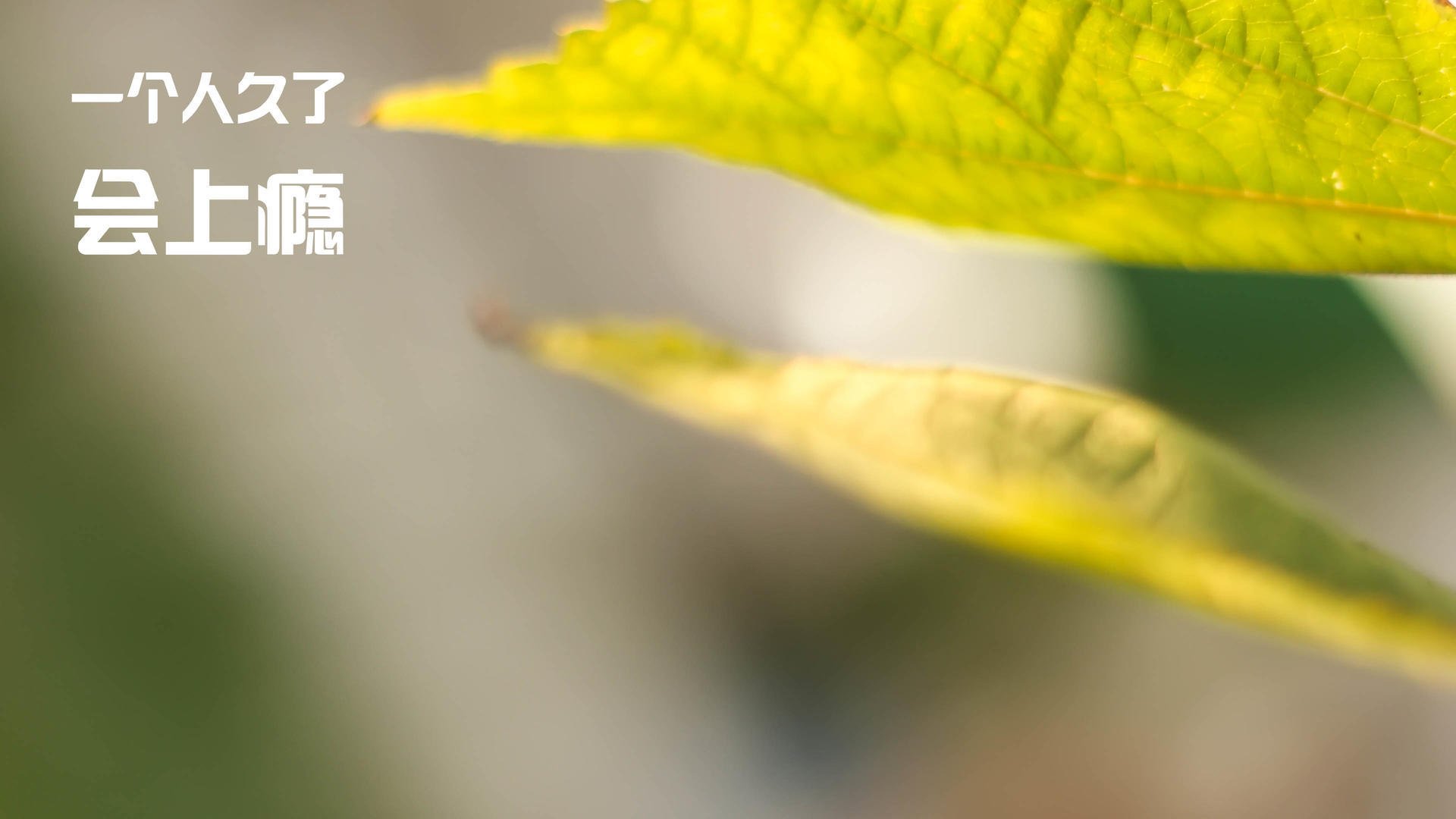 勇士球员联合发布公益单曲，呼吁关注青少年心理健康，勇士队官方