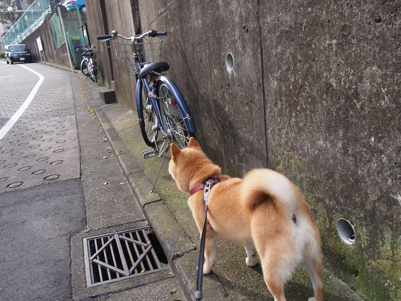 拯救“危局”——那些在比赛末段力挽狂澜的英勇瞬间,挽救危局的成语