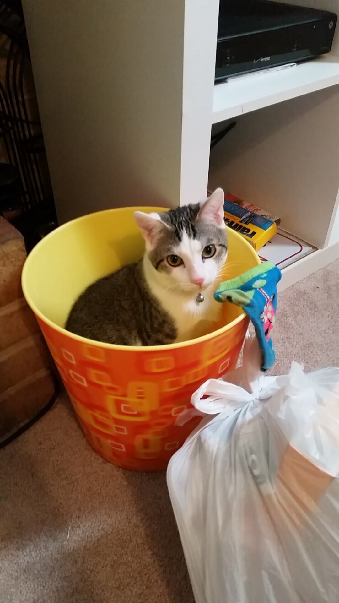 英超专家总结，比赛中的数据变化反映战术核心变化，英超比赛特点