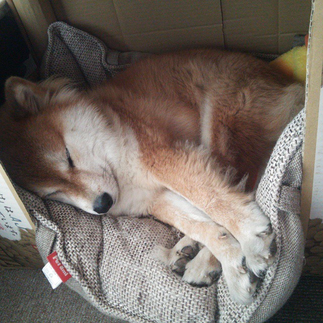 赛后采访:李明感慨“团队合作让我们取得胜利”!