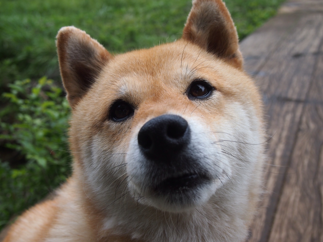 开云体育下载APP-CBA球队青训体系创新路径，cba青训球员界定