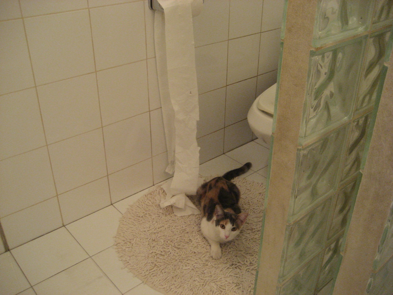 堡垒之夜重制画质体验优化，堡垒之夜改画质