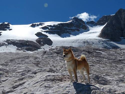 墨尔本联季后赛资格稳固，墨尔本超级联赛