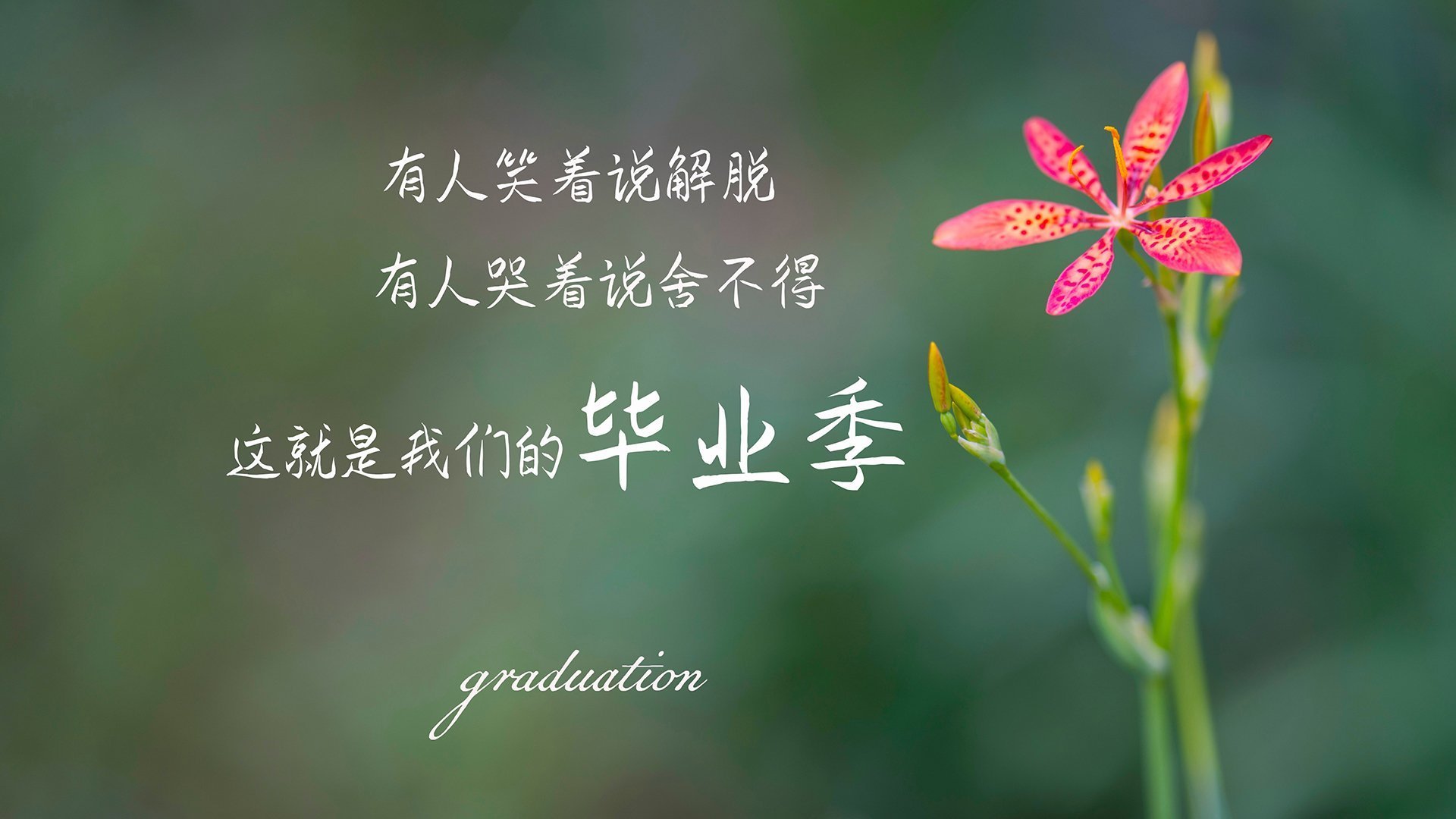 开云体育下载入口-尼克斯击败热火，西部决赛中布伦森贡献关键助攻，布克去尼克斯