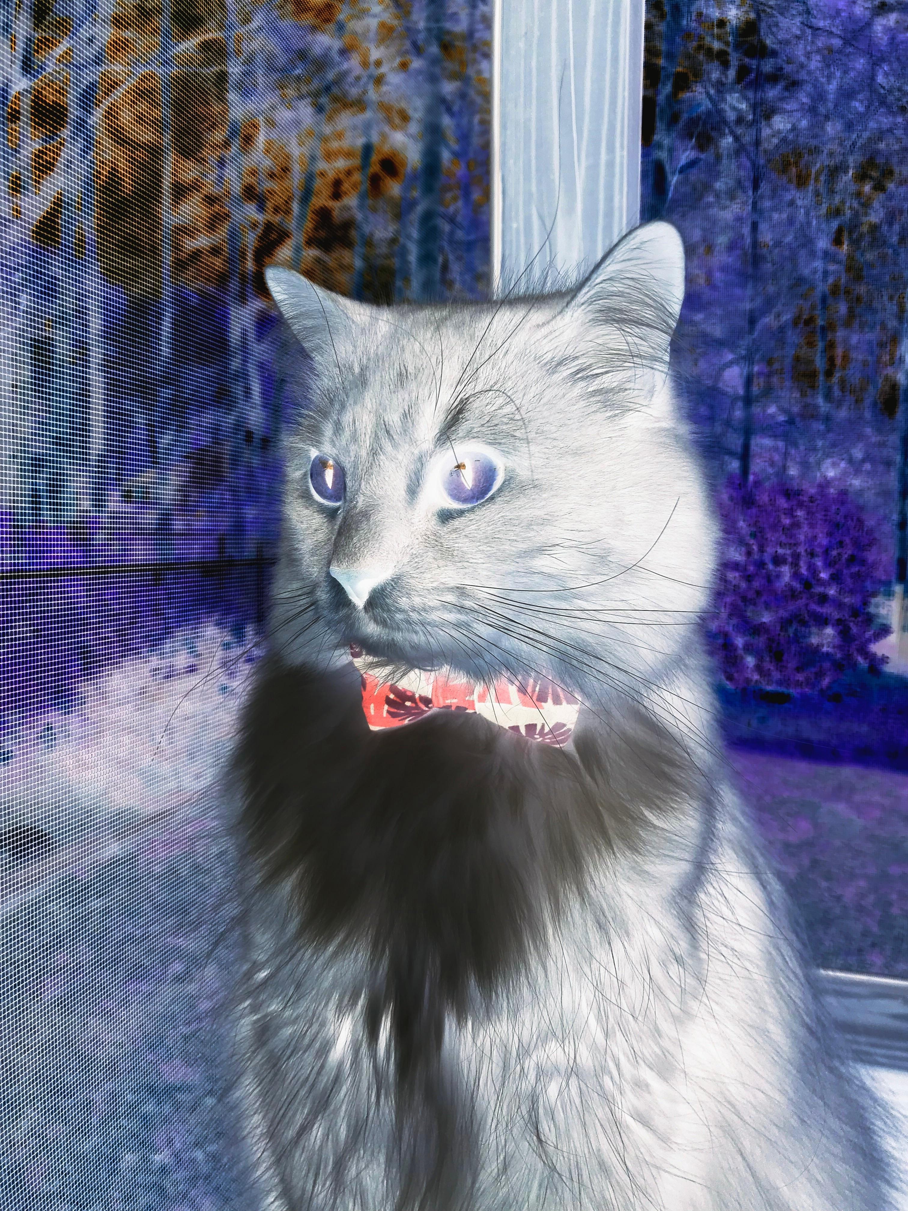 体育运动对大学生学习倦怠的调节作用研究，体育运动对大学生身心健康的影响