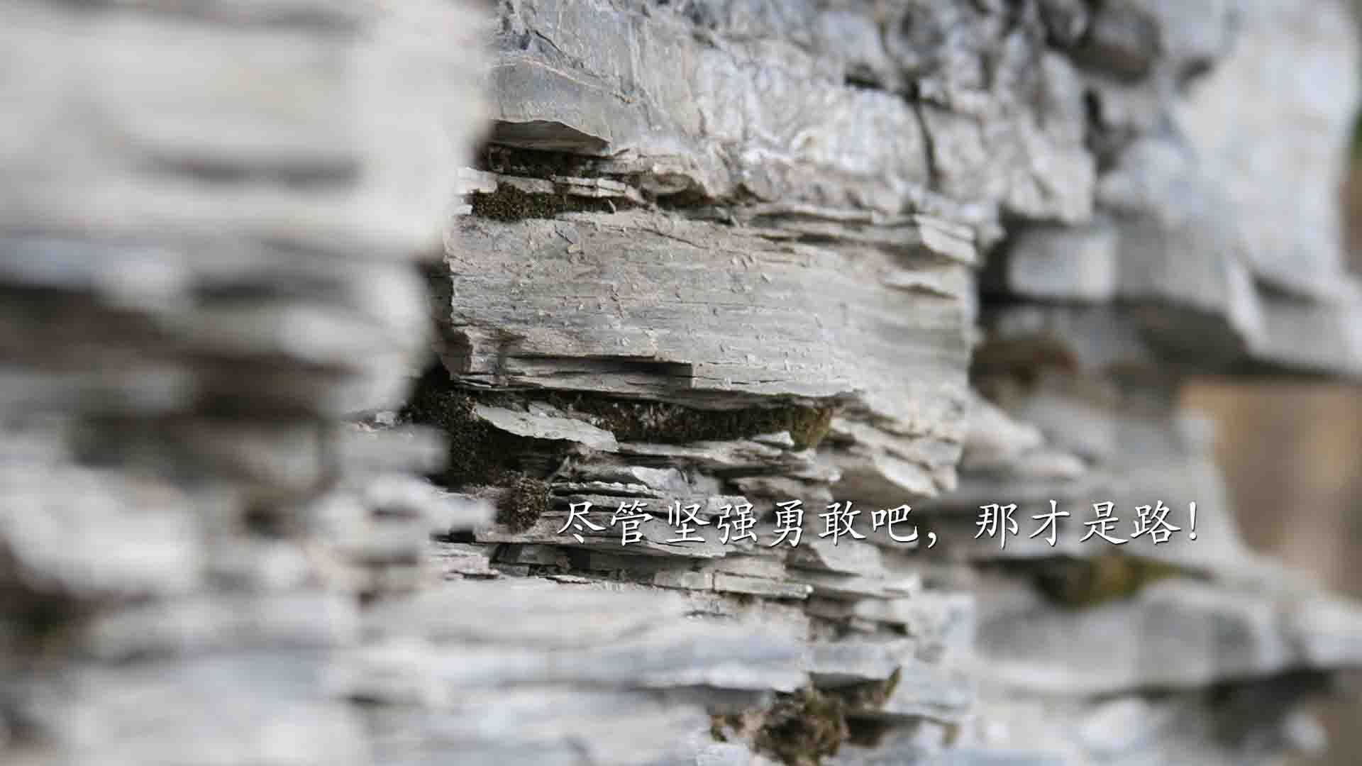 开云平台-国足传控型打法对比分节奏的掌控能力，现代足球传控型打法