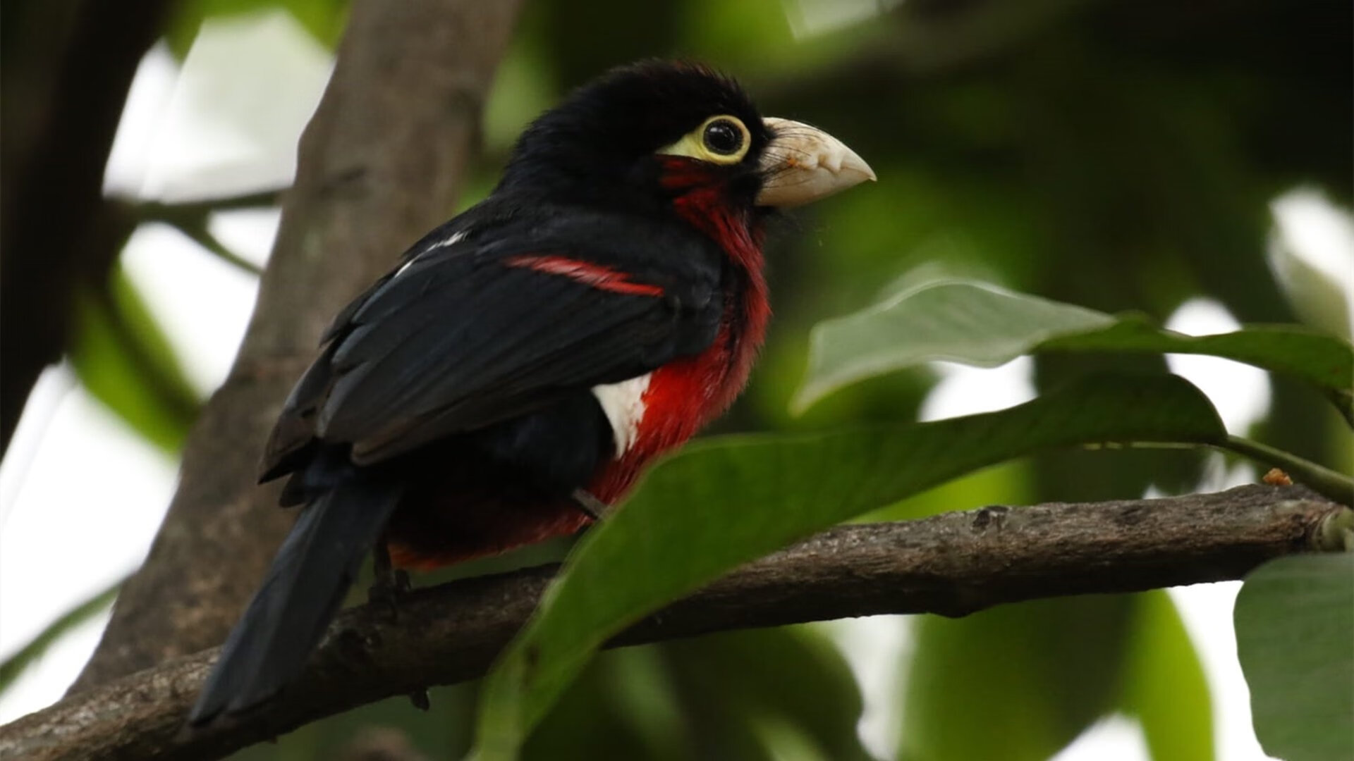 “2025世界运动会：电动冲浪赛场新体验，马鞍山火爆开赛”