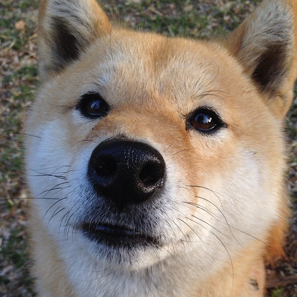 中国三人篮球女队打造高强度防守体系,中国三人篮球女生