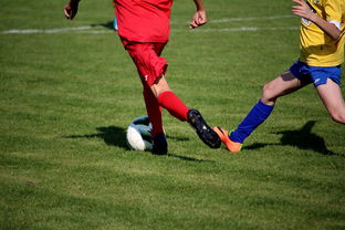 开云投注-仰泳大战美队领先毫厘之间，仰泳比赛视频欣赏